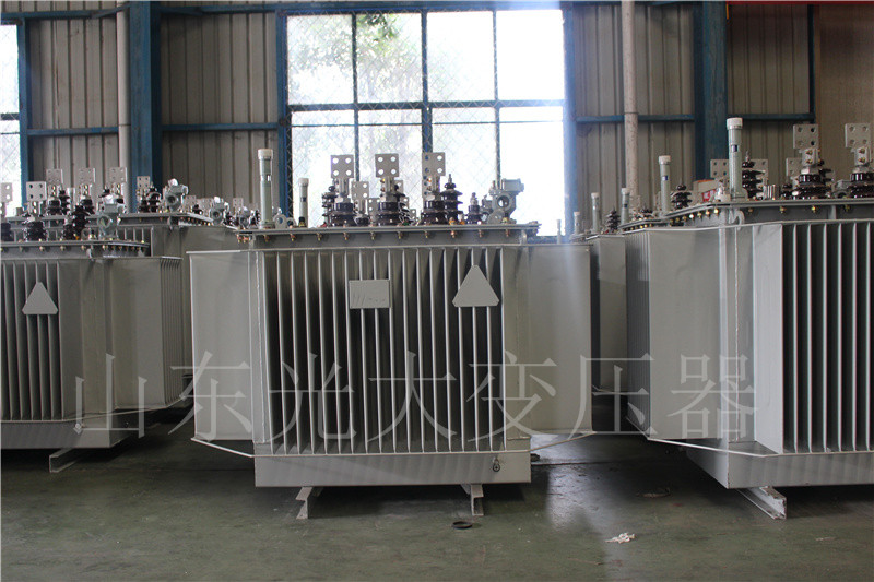 双江S20-500KVA/10KV